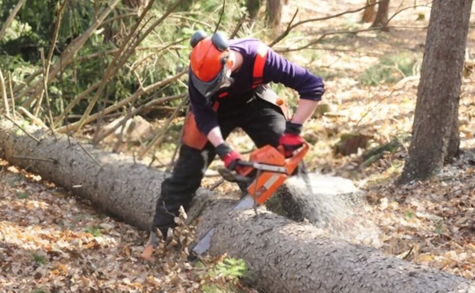 How does a chainsaw work